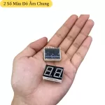 5621AS LED 7 Đoạn 2 Số Màu Đỏ Âm Chung 0.56 Inch